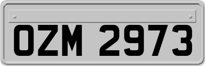 OZM2973