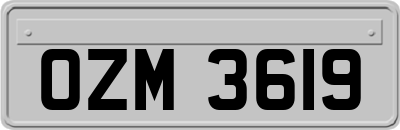 OZM3619