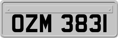OZM3831
