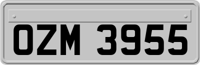 OZM3955