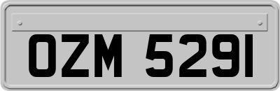 OZM5291