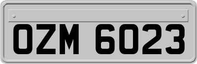 OZM6023