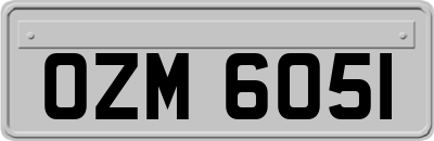 OZM6051