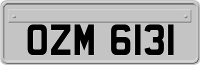 OZM6131