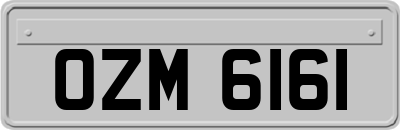OZM6161