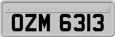 OZM6313