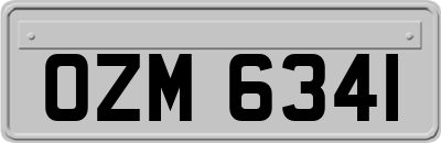 OZM6341
