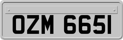 OZM6651