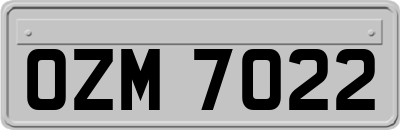 OZM7022