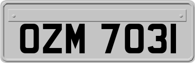 OZM7031