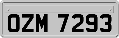 OZM7293