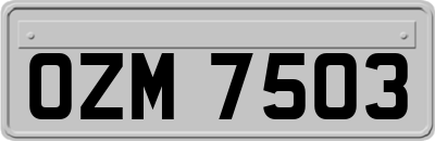 OZM7503