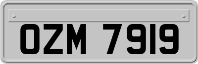 OZM7919
