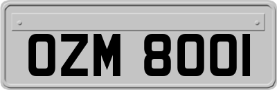OZM8001