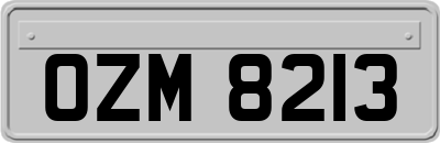 OZM8213
