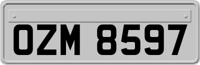 OZM8597