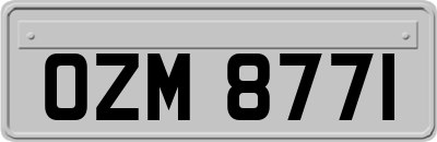 OZM8771