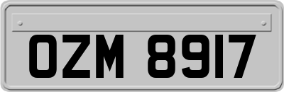 OZM8917