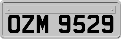 OZM9529