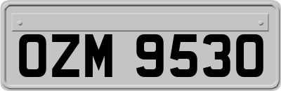 OZM9530