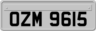 OZM9615