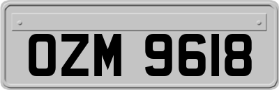 OZM9618