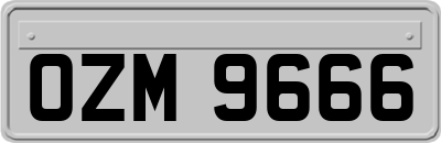 OZM9666