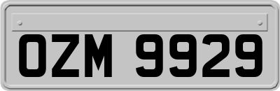 OZM9929