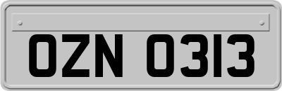 OZN0313