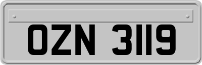 OZN3119