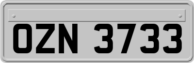 OZN3733