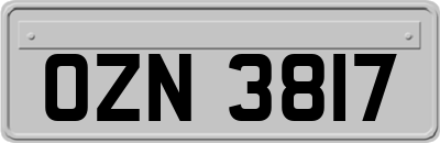 OZN3817