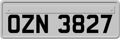 OZN3827