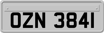 OZN3841