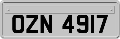 OZN4917