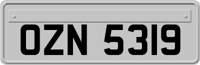 OZN5319