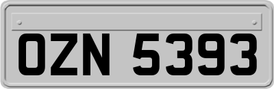 OZN5393