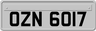 OZN6017
