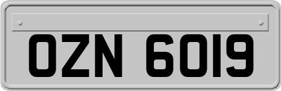 OZN6019