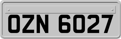 OZN6027