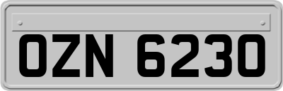 OZN6230