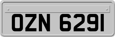 OZN6291