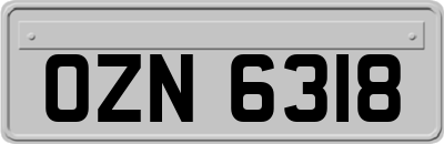 OZN6318
