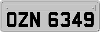 OZN6349