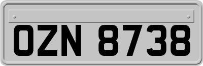 OZN8738
