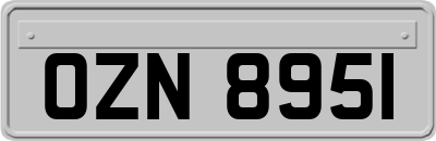 OZN8951