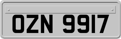 OZN9917