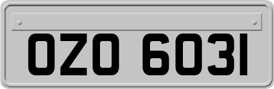 OZO6031