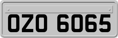 OZO6065