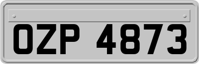 OZP4873